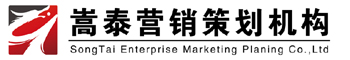 长春嵩泰营销策划有限公司